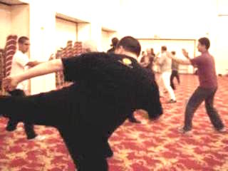Wahnam Taijiquan