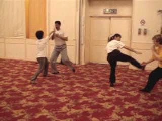 Wahnam Taijiquan
