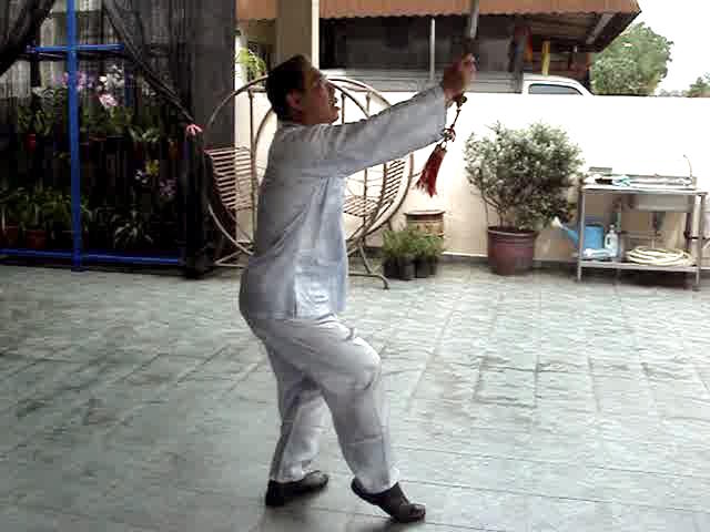 Wudang Sword Taiji Sword