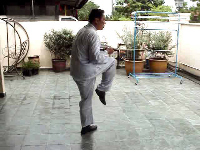 Wudang Sword Taiji Sword