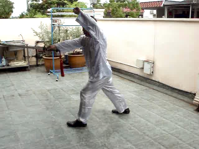 Wudang Sword Taiji Sword