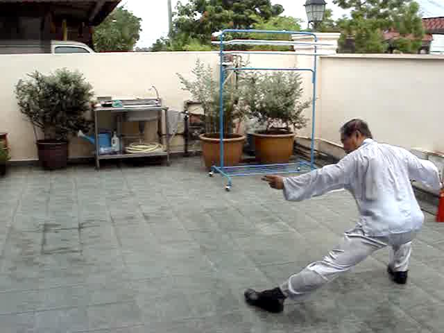 Wudang Sword Taiji Sword