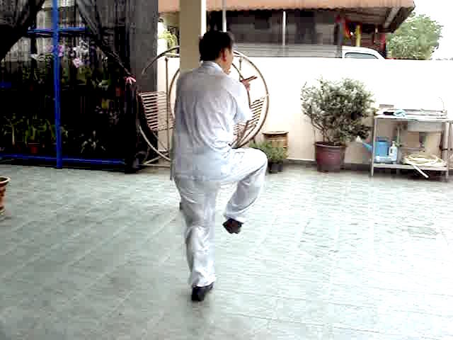 Wudang Sword Taiji Sword