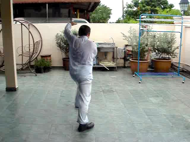 Wudang Sword Taiji Sword