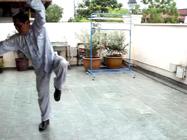 Wudang Sword Taiji Sword