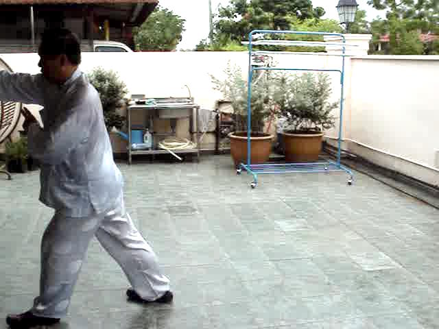 Wudang Sword Taiji Sword