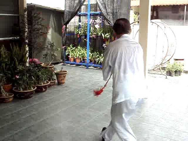 Wudang Sword Taiji Sword