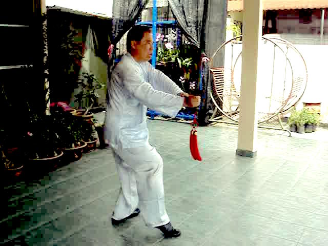 Wudang Sword Taiji Sword