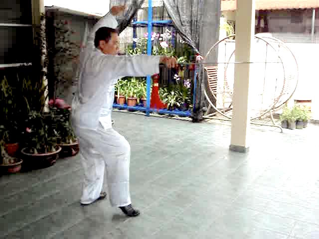 Wudang Sword Taiji Sword