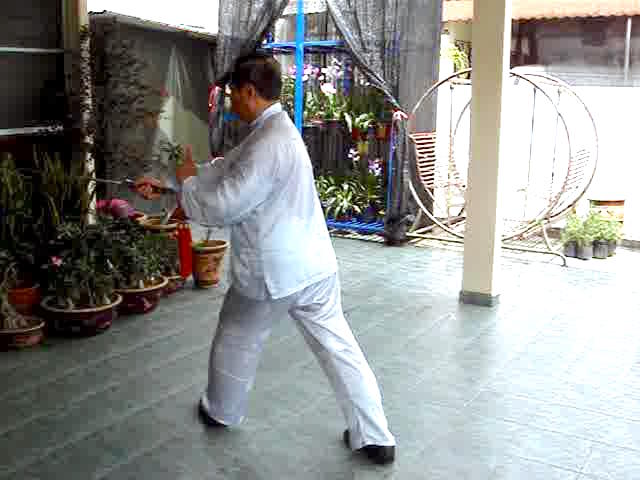 Wudang Sword Taiji Sword
