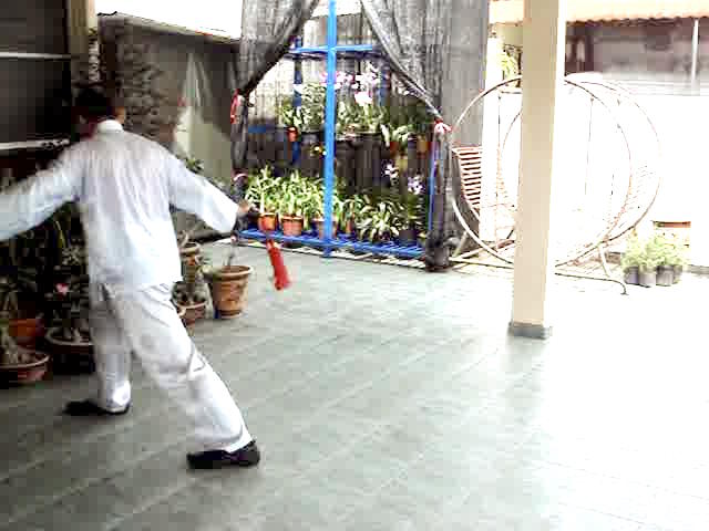 Wudang Sword Taiji Sword