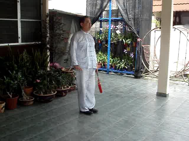 Wudang Sword Taiji Sword
