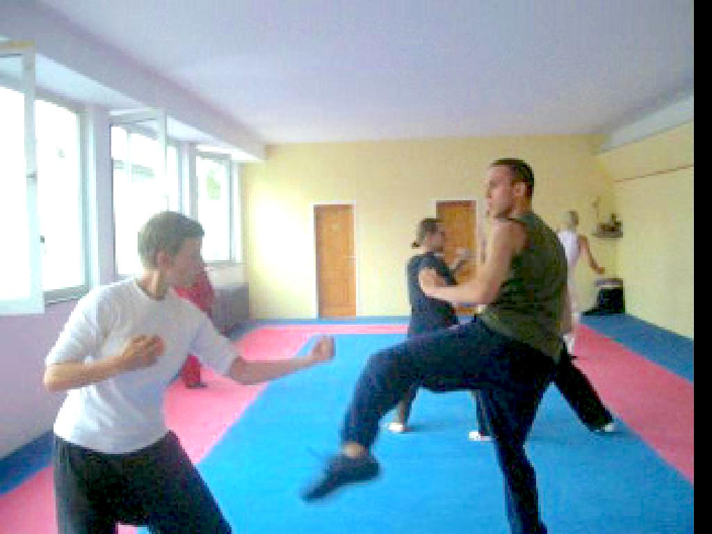 Formidable Female Fighters