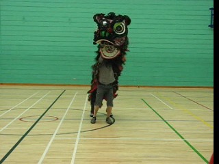 Lion Dance