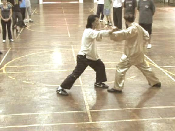 Shaolin Kungfu