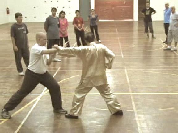 Shaolin Kungfu