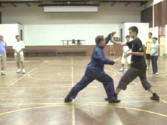 Shaolin Kungfu