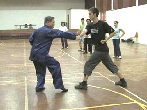 Shaolin Kungfu