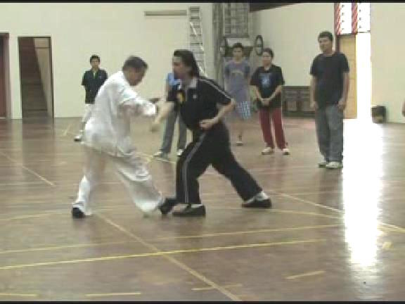 Shaolin Kungfu