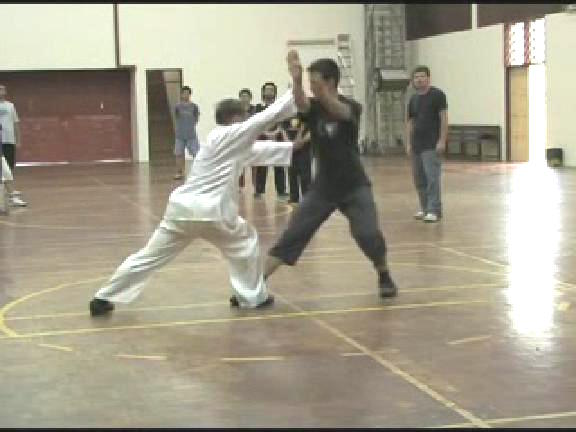 Shaolin Kungfu