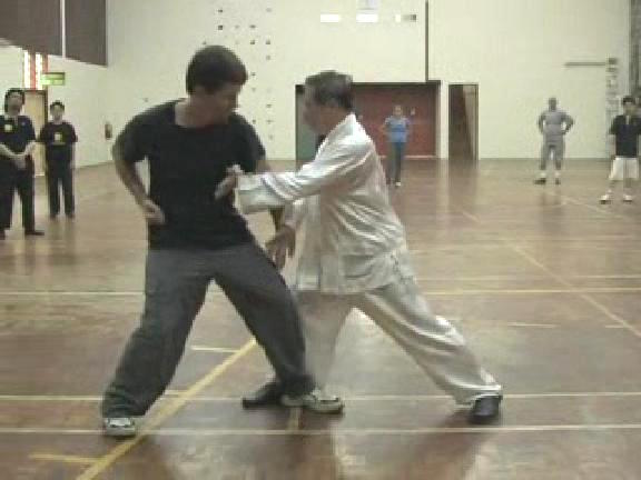 Shaolin Kungfu
