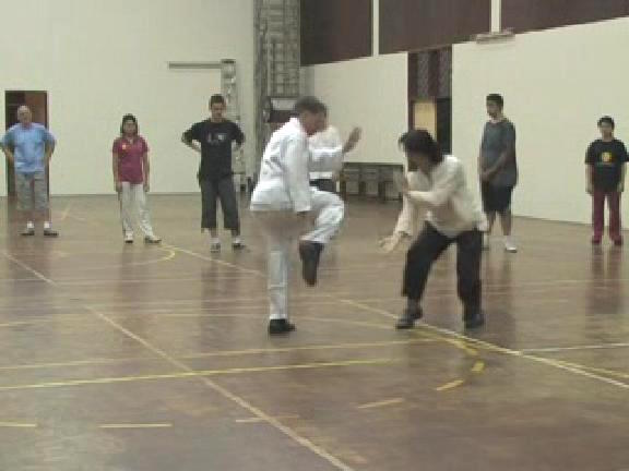 Shaolin Kungfu