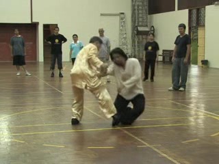 Shaolin Kungfu
