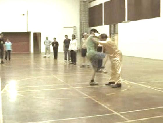 Shaolin Kungfu