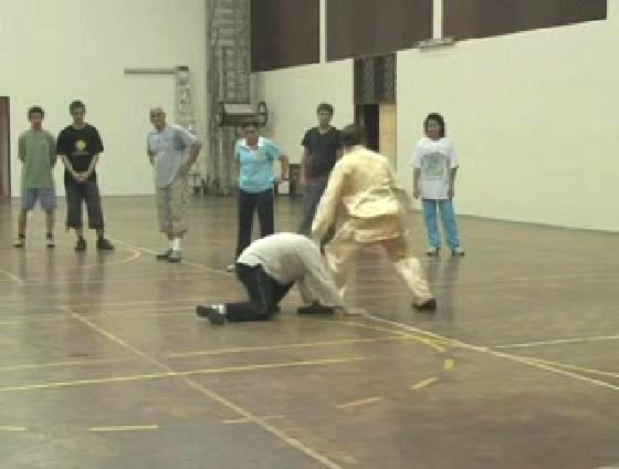 Shaolin Kungfu