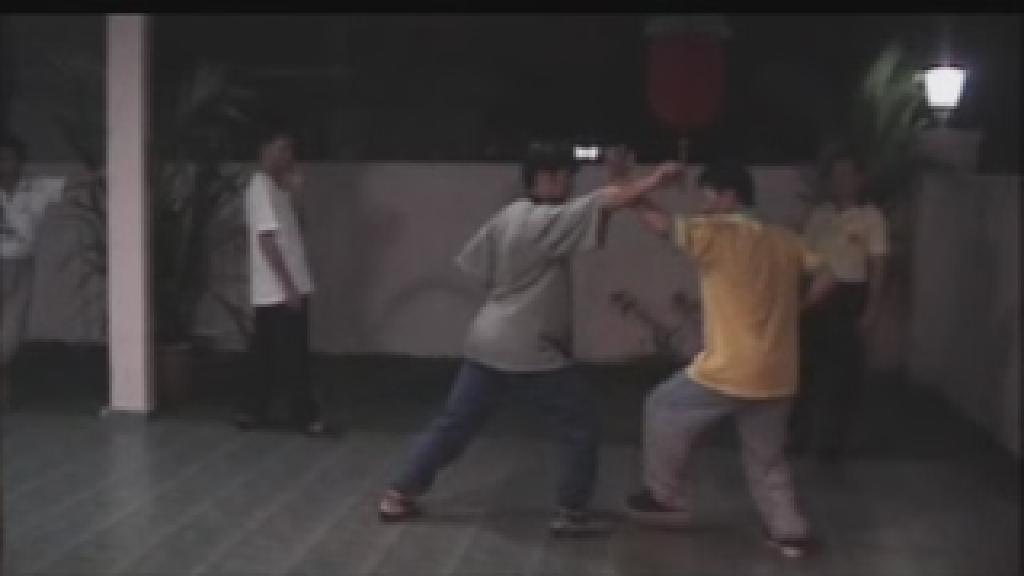 Shaolin Sparring