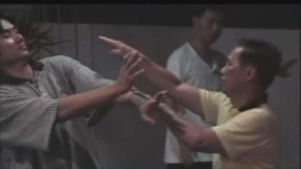Shaolin Sparring