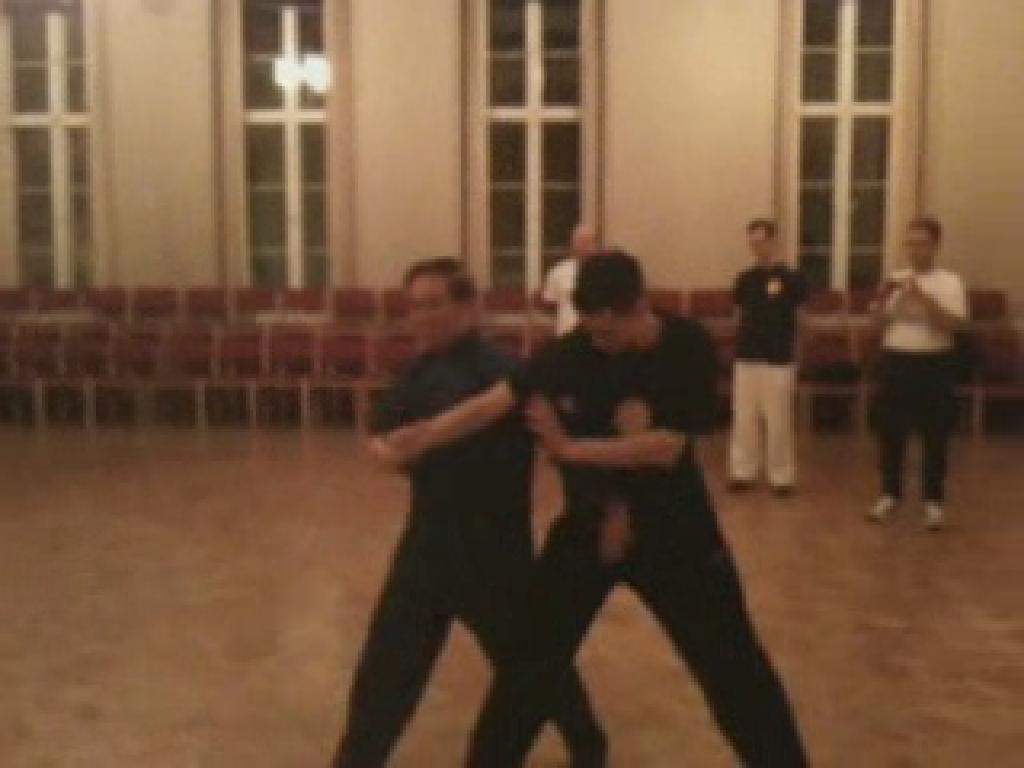 Shaolin Taming-Tiger