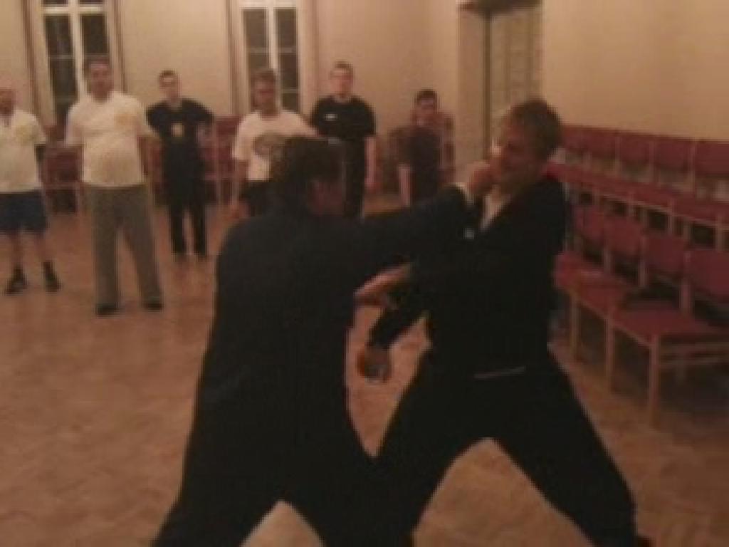 Shaolin Taming-Tiger