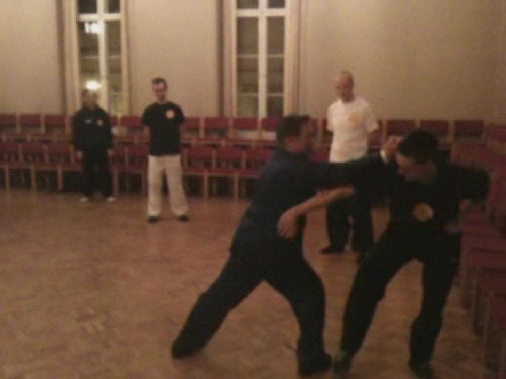 Shaolin Taming-Tiger