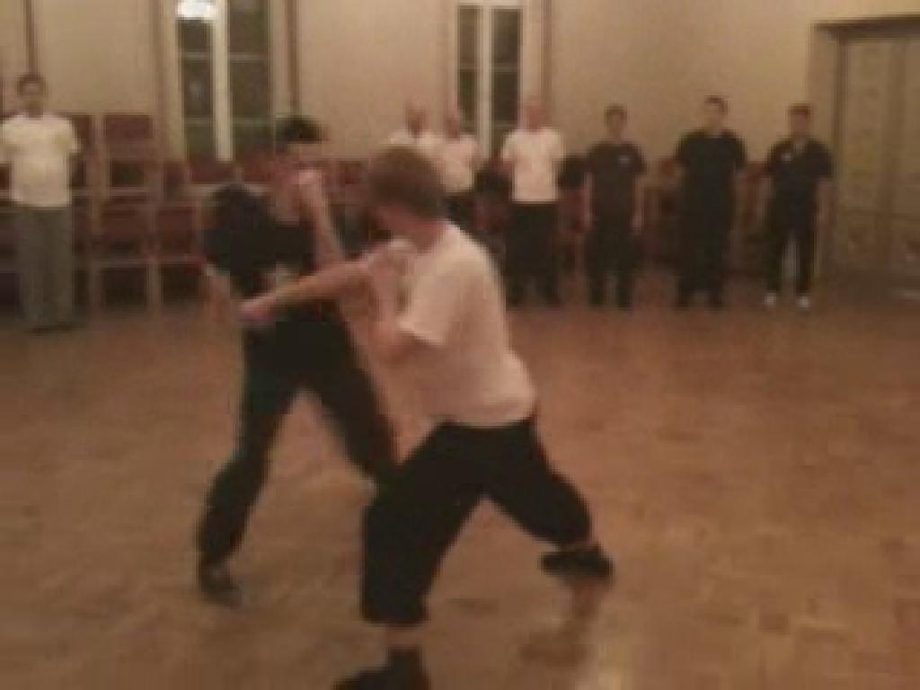 Shaolin Taming-Tiger