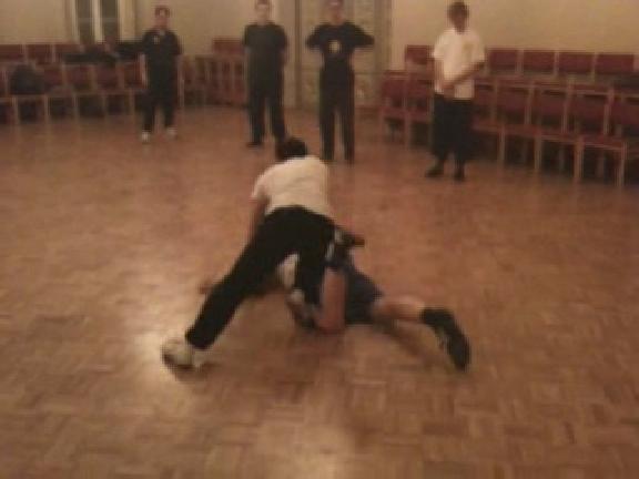 Taming Tiger