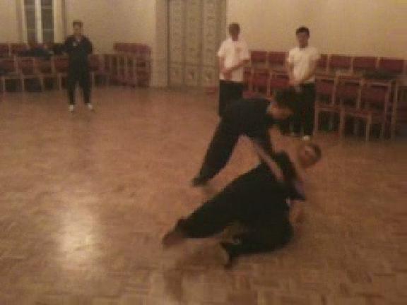 Taming Tiger