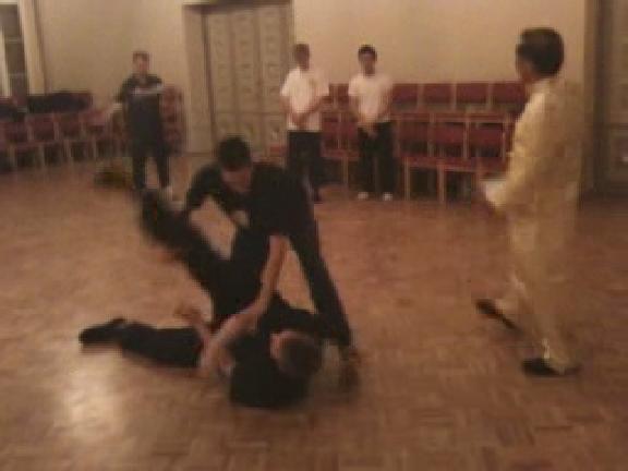 Taming Tiger