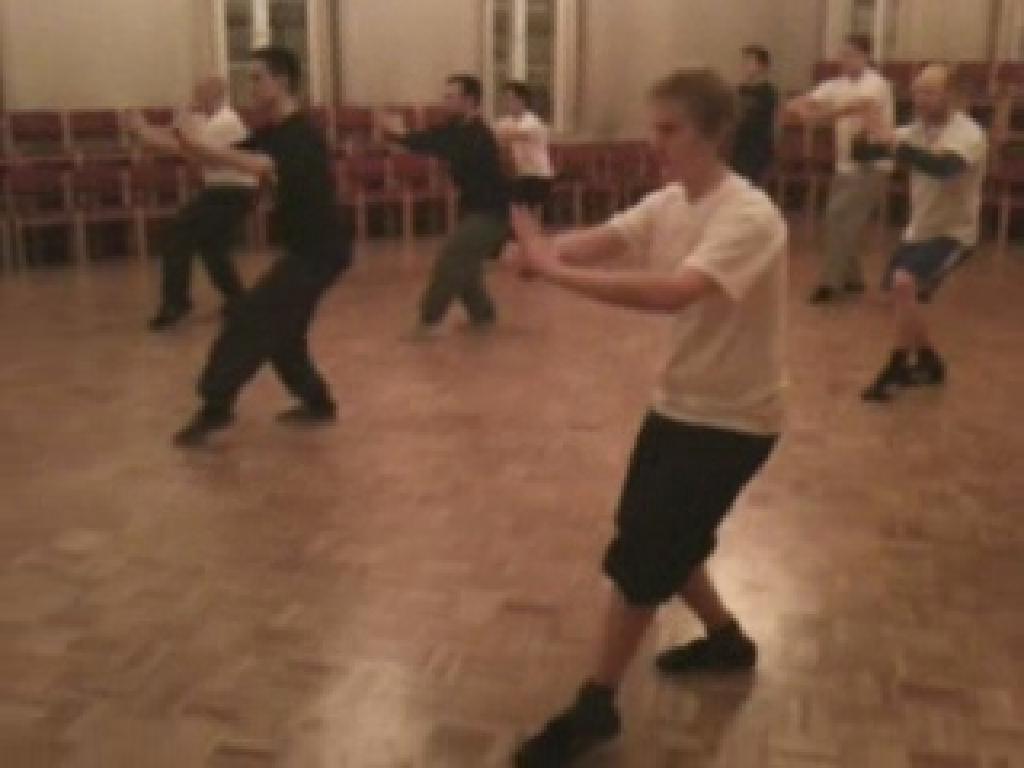 Shaolin Taming-Tiger