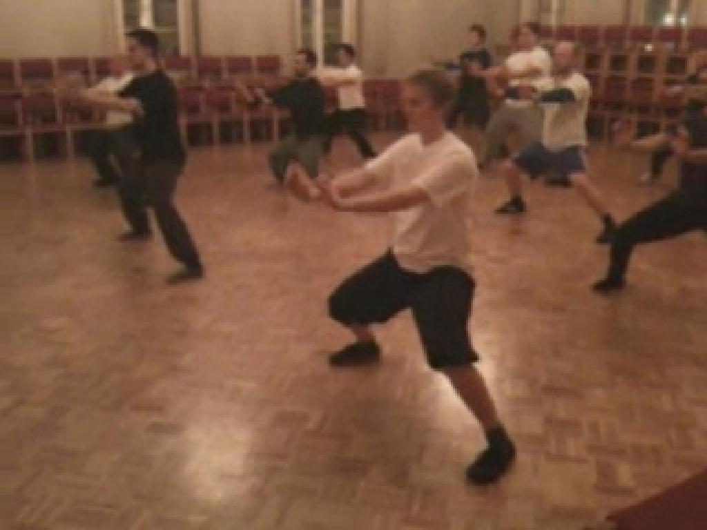 Shaolin Taming-Tiger
