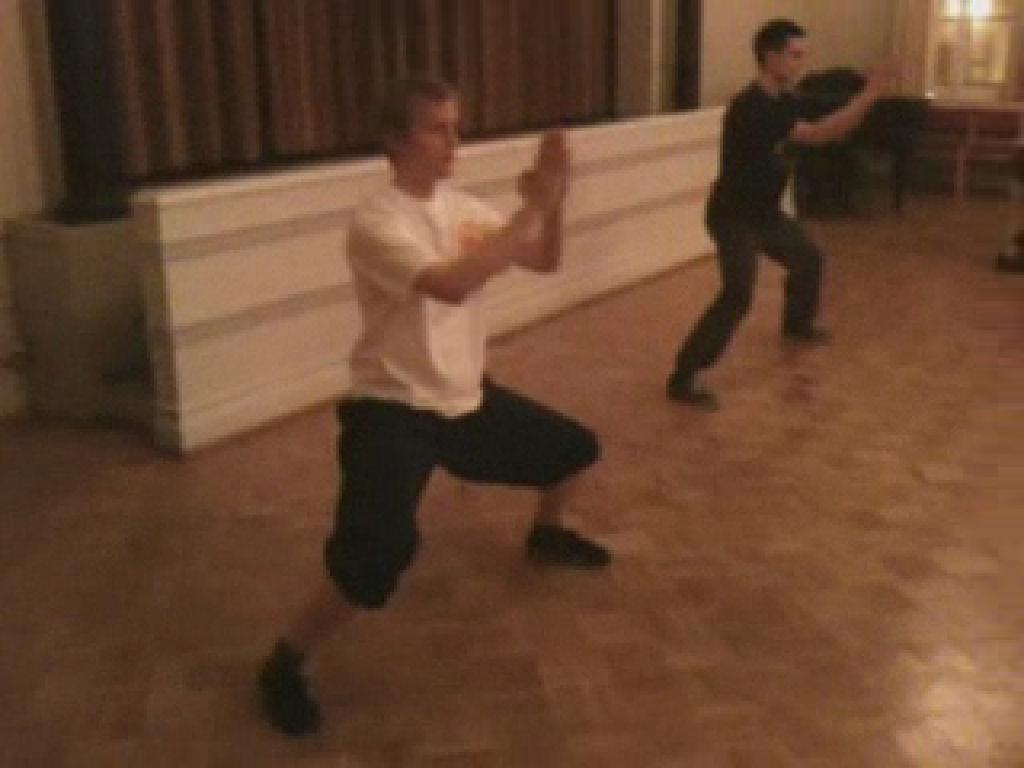 Shaolin Taming-Tiger