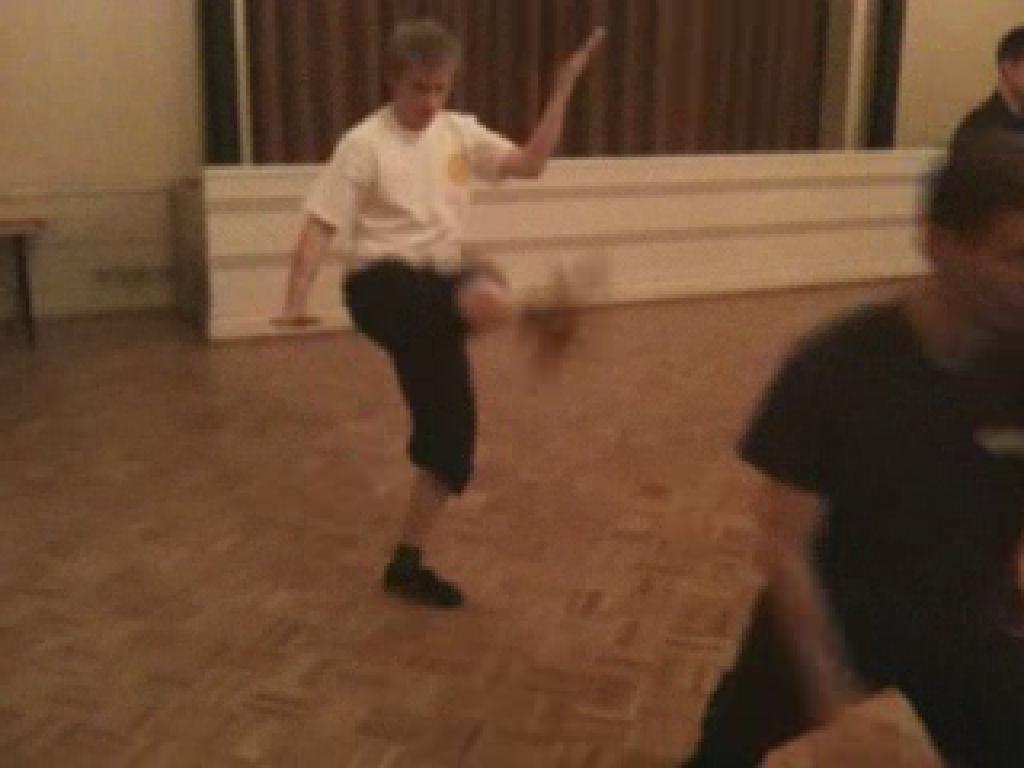 Shaolin Taming-Tiger