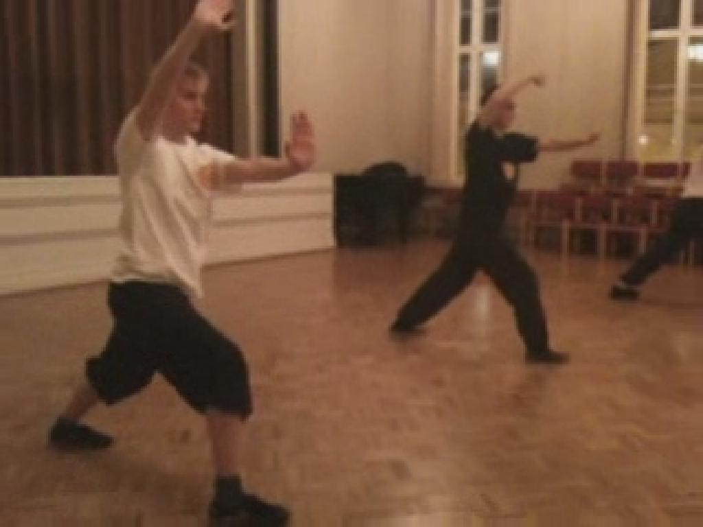 Shaolin Taming-Tiger