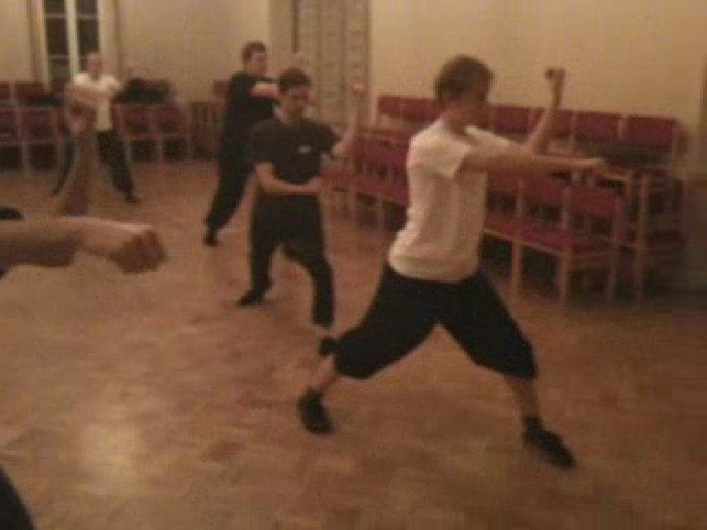 Shaolin Taming-Tiger