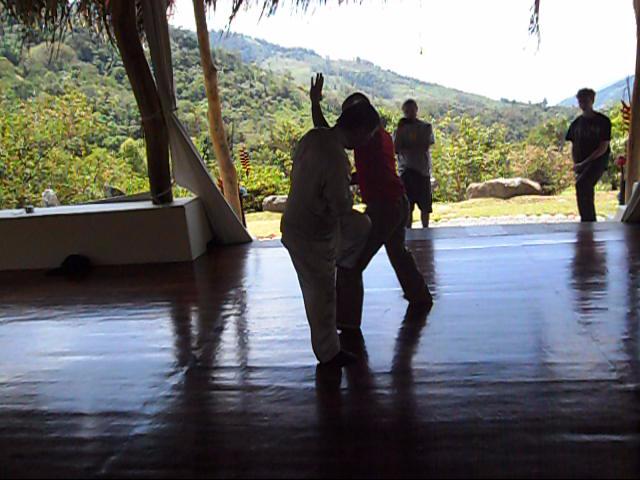 Wing Chun Kung Fu