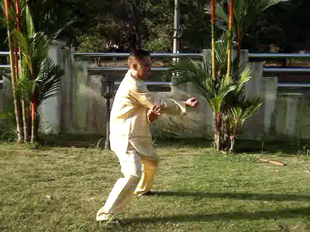 Shaolin Flower Set