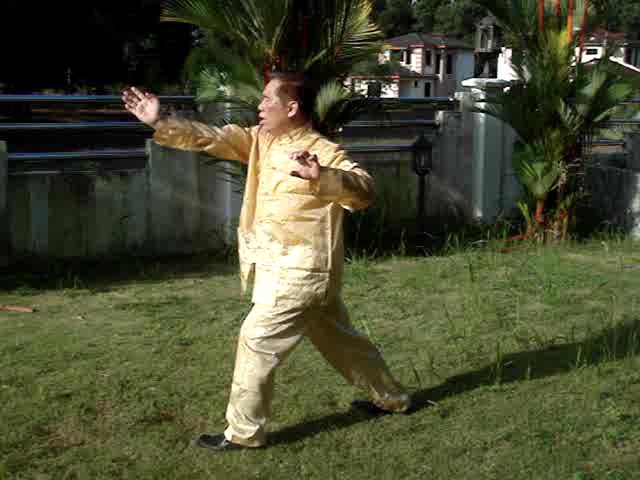 Shaolin Flower Set
