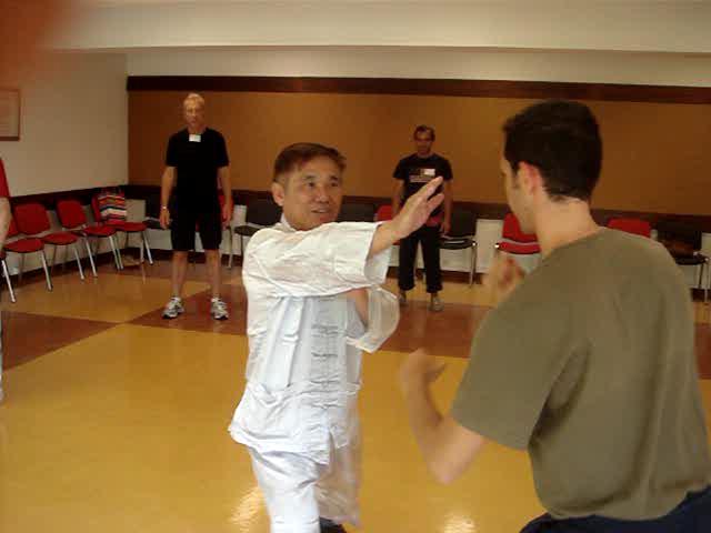 Wahnam Taijiquan, Tai Chi Chuan