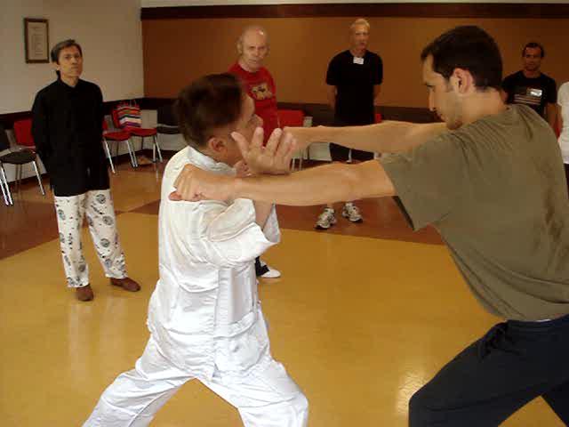 Wahnam Taijiquan, Tai Chi Chuan