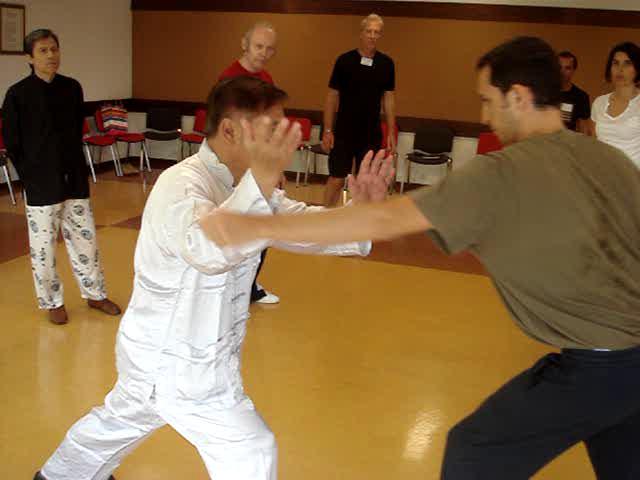 Wahnam Taijiquan, Tai Chi Chuan
